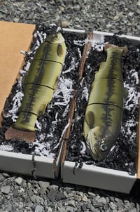 Image 2 of Immortal Trout “Northern Strain”