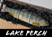Image 1 of Immortal Trout “Lake Perch”