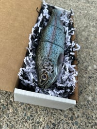 Image 3 of Immortal Trout “Blue Trout”