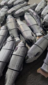 Image 2 of Immortal Trout “Gypsy”