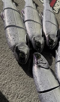 Image 3 of Immortal Trout “Gypsy”