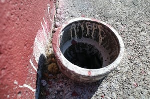 Image of DIY•IZM #2