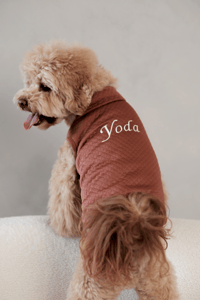 Image 1 of CUSTOM EMBROIDERED LOUIE VEST - BRICK RED