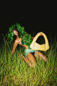 Image 3 of Banana Willow Bag 2.0