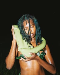 Image 3 of Green Apple Willow Bag 2.0