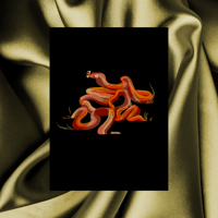 Image 1 of Year of the Woodsnake - Growth and Transformation