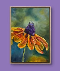 Image 1 of Robert’s Black-Eyed Susan