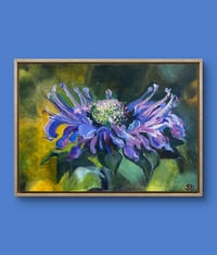 Image 1 of Bee Balm-a-loo-ya