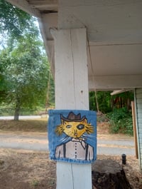 Image 3 of Western Cat With Black Eye