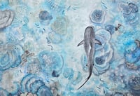 Image 1 of Tiger Shark