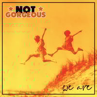 Image 2 of Not Gorgeous - We Are... LP