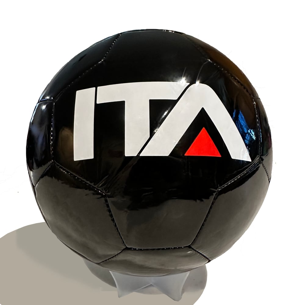 Image of Soccer Training Ball
