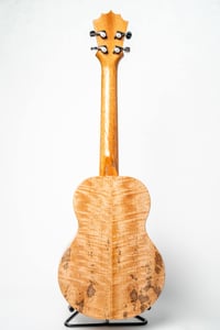Image 5 of KoAloha KTM-00SI Special Issue Curly Mango Rosette Tenor