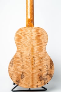 Image 6 of KoAloha KTM-00SI Special Issue Curly Mango Rosette Tenor