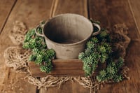 Image 2 of Set with different cactis