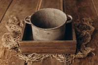 Image 3 of Set with different cactis