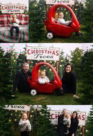 Image of Tree Farm Mini Sessions 2025