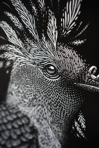 Image 1 of Tirage d'art - Pigeon punk