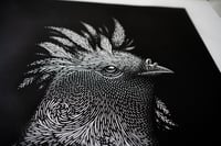 Image 3 of Tirage d'art - Pigeon punk