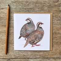 Image 2 of MOORLAND CARD SET