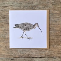 Image 4 of MOORLAND CARD SET