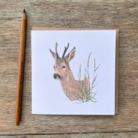 Image 5 of MOORLAND CARD SET