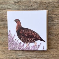 Image 6 of MOORLAND CARD SET