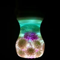 Image 2 of The Canberra