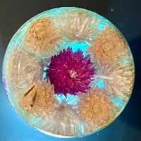 Image 4 of The Canberra