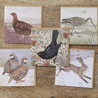 Image 1 of BOWLAND CARD SET