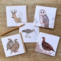 Image 1 of MOORLAND CARD SET