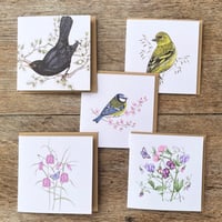 Image 1 of BLOOM CARD SET