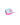 PupLid Pink Trucker Hat Portland Maine Lobster