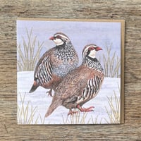 Image 5 of BOWLAND CARD SET