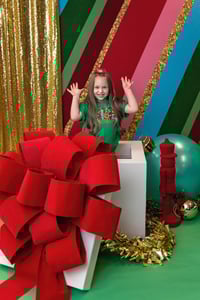 Image 2 of Christmas Minis November 7th