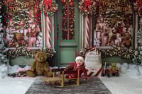 Image 3 of Christmas Minis November 7th