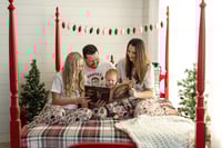 Image 2 of Christmas Minis  November 8th