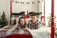 Image 4 of Christmas Minis  November 8th