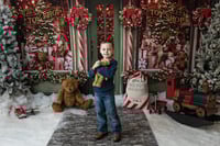 Image 5 of Christmas Minis  November 8th