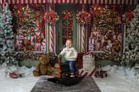 Image 1 of Christmas Minis  November 8th