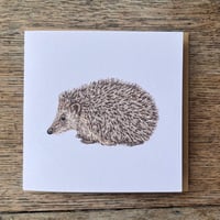 Image 4 of GARDEN CARD SET