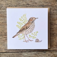 Image 6 of GARDEN CARD SET