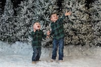 Image 2 of Christmas Minis November 21st