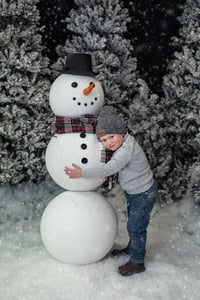 Image 5 of Christmas Minis November 21st