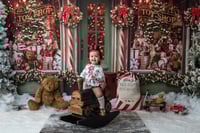 Image 3 of Christmas Minis November 22nd