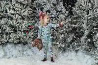 Image 1 of Christmas Minis November 23rd