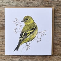 Image 5 of BLOOM CARD SET