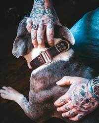 Image 4 of The Captain's Best Friend Collection