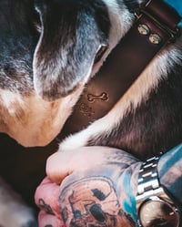 Image 5 of The Captain's Best Friend Collection