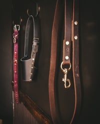 Image 10 of The Captain's Best Friend Collection